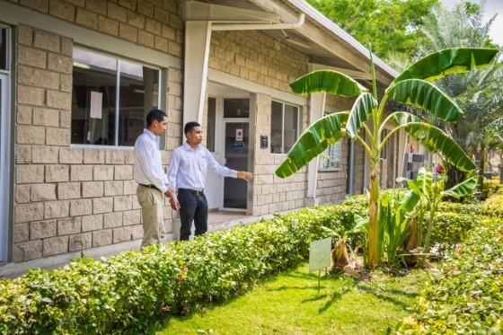 Personas mirando una planta