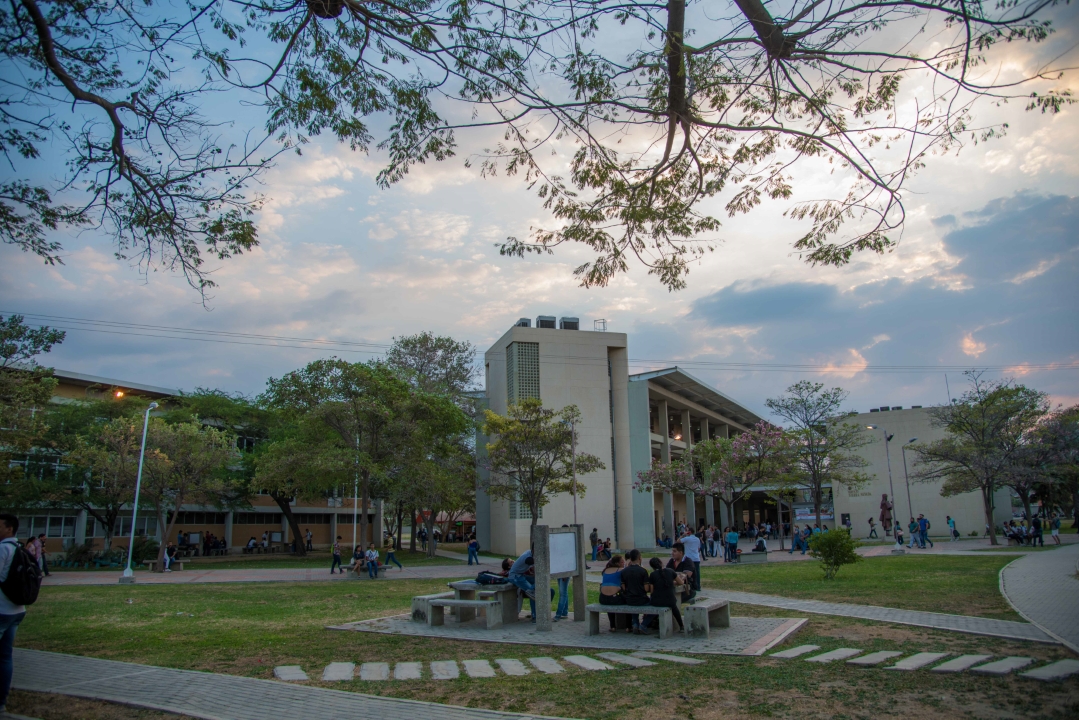 Facultad de Ciencias Empresariales y Económicas de UNIMAGDALENA socializará su oferta de postgrados