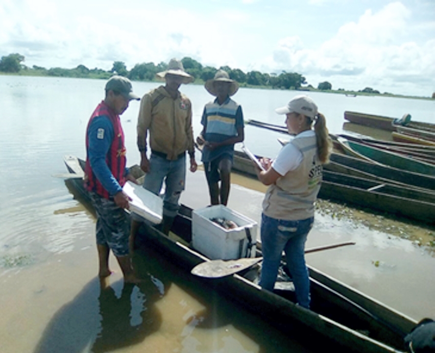 Autoridad Nacional de Acuicultura y Pesca – AUNAP y UNIMAGDALENA suscriben alianza interinstitucional