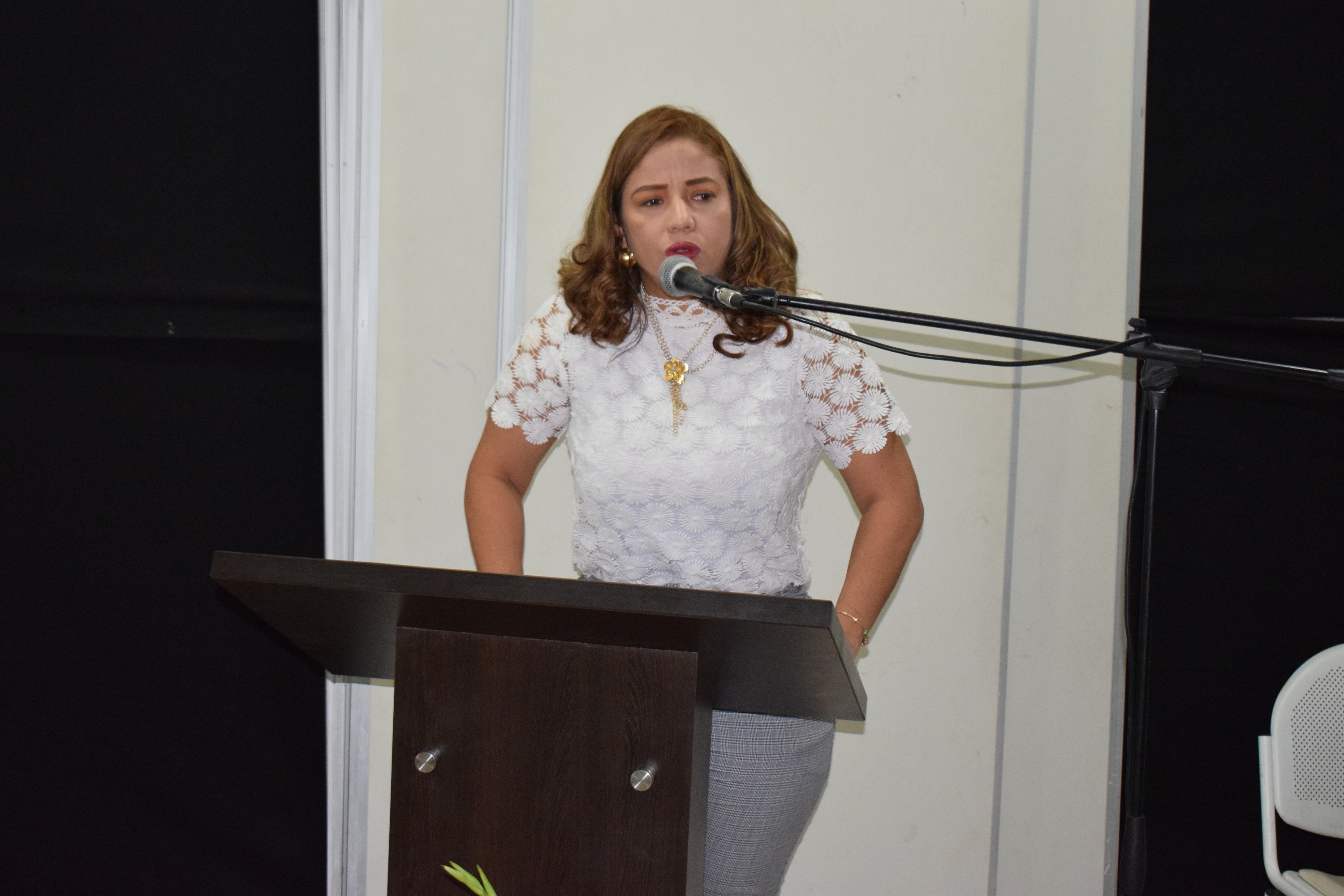 UNIMAGDALENA dio apertura al Diplomado en Atención y Prevención en Violencia Intrafamiliar
