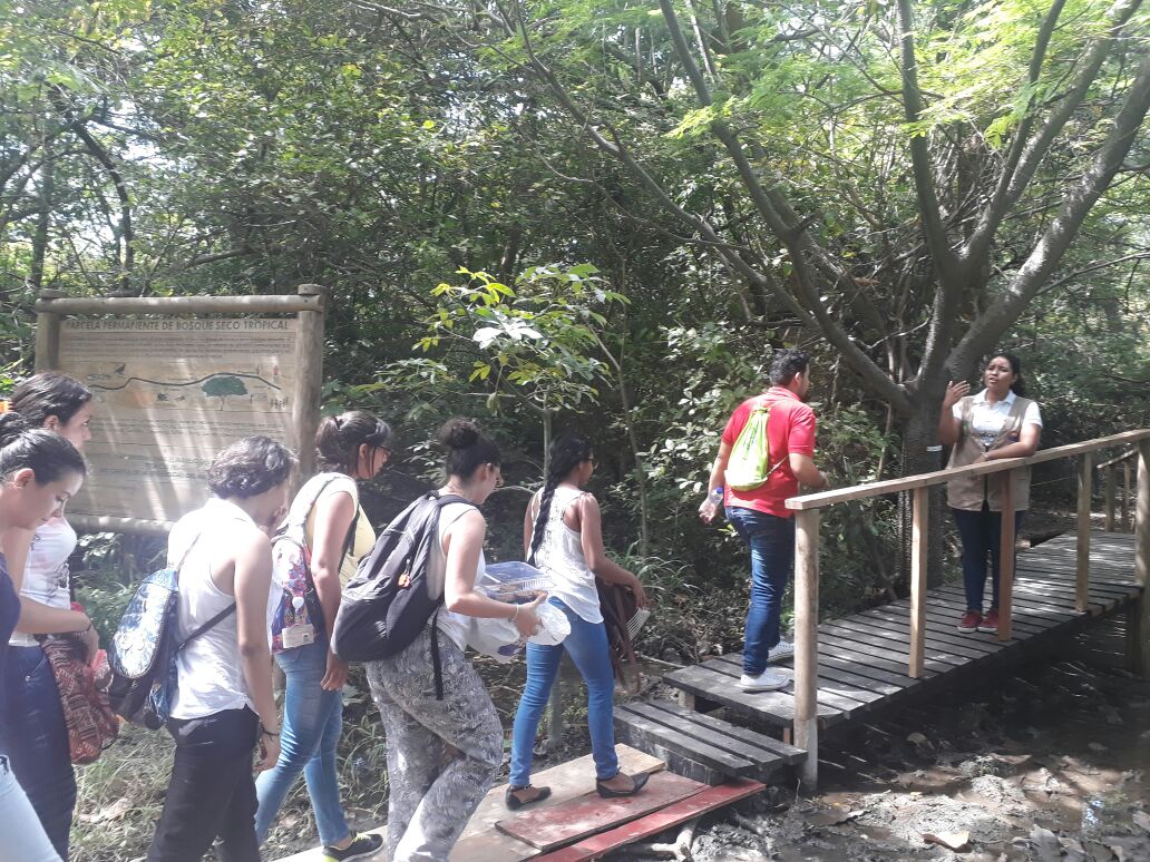 UNIMAGDALENA gana premio ambiental GEMAS Colombia 2018