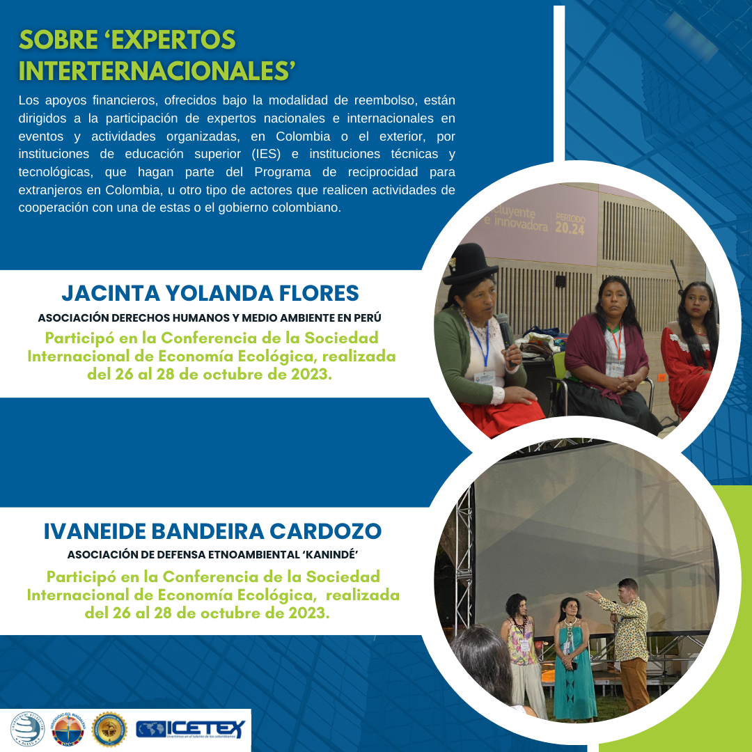 Programa Expertos Internacionales