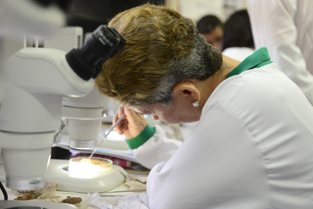 Investigadora de la Universidad