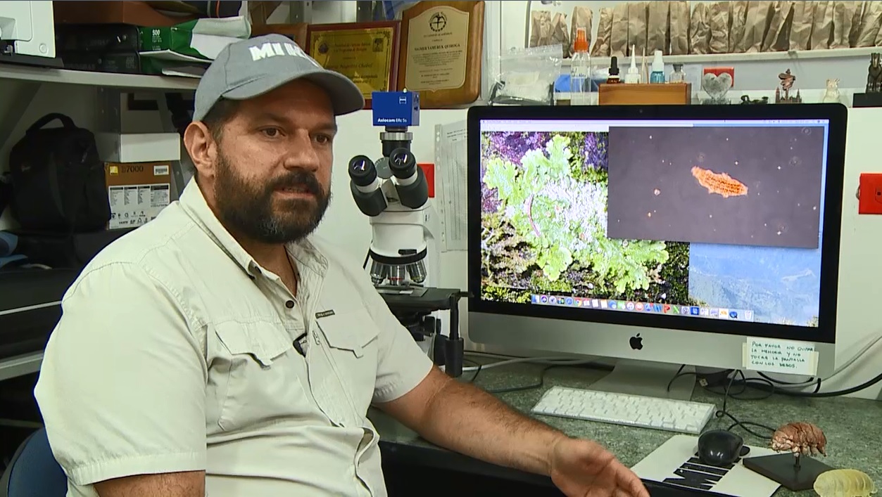 Doctor Sigmer Quiroga Cárdenas, docente de la Alma Mater y director del Grupo de Investigación en Manejo y Conservación de Fauna y Flora y Ecosistemas