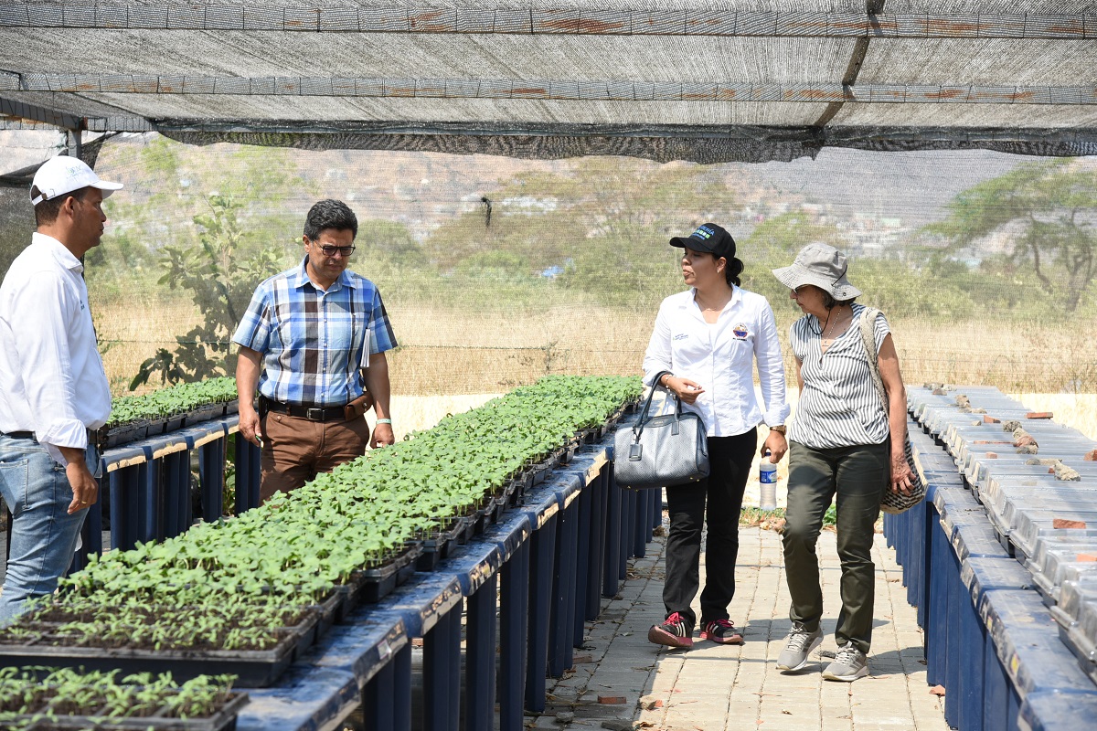 Pares académicos del CNA destacaron relacionamiento con el sector productivo del Programa de Ingeniería Agronómica de UNIMAGDALENA