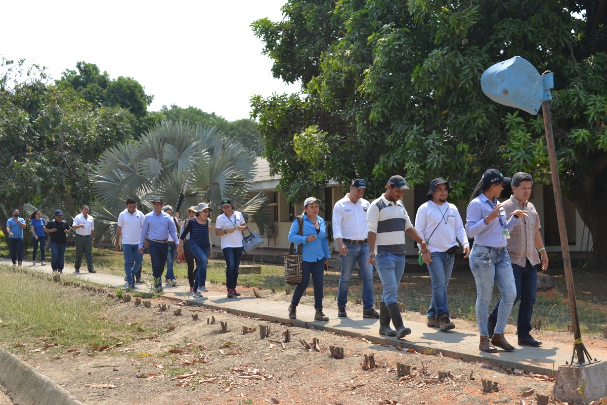 Pares académicos del CNA destacaron relacionamiento con el sector productivo del Programa de Ingeniería Agronómica de UNIMAGDALENA