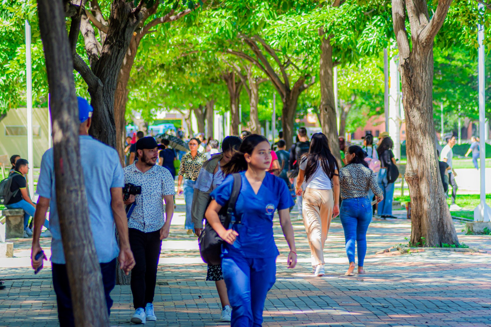 Por primera vez se habilitan inscripciones para el segundo semestre del año en los programas de.