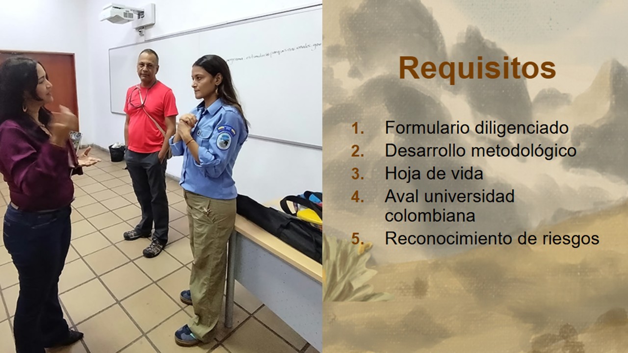 Requisitos de la postulación