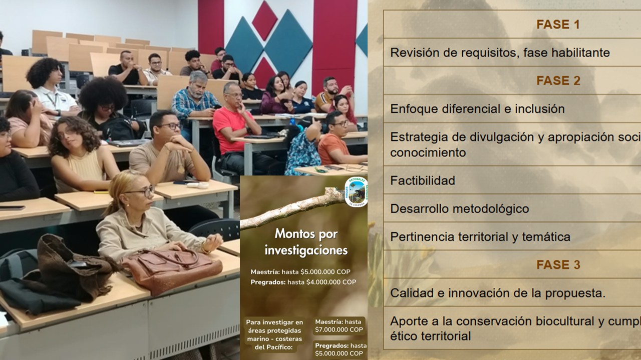 Montos y etapas de la convocatoria de estímulos promovida por PNNC.