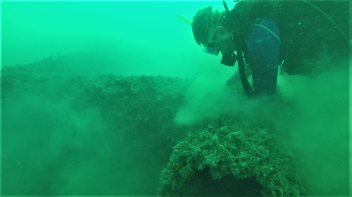 UNIMAGDALENA realizó jornada de retiro de mallas de pesca en los arrecifes artificiales