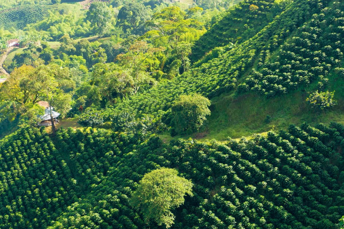 UNIMAGDALENA será sede del XXII Congreso Colombiano de Ingenieros Agrónomos