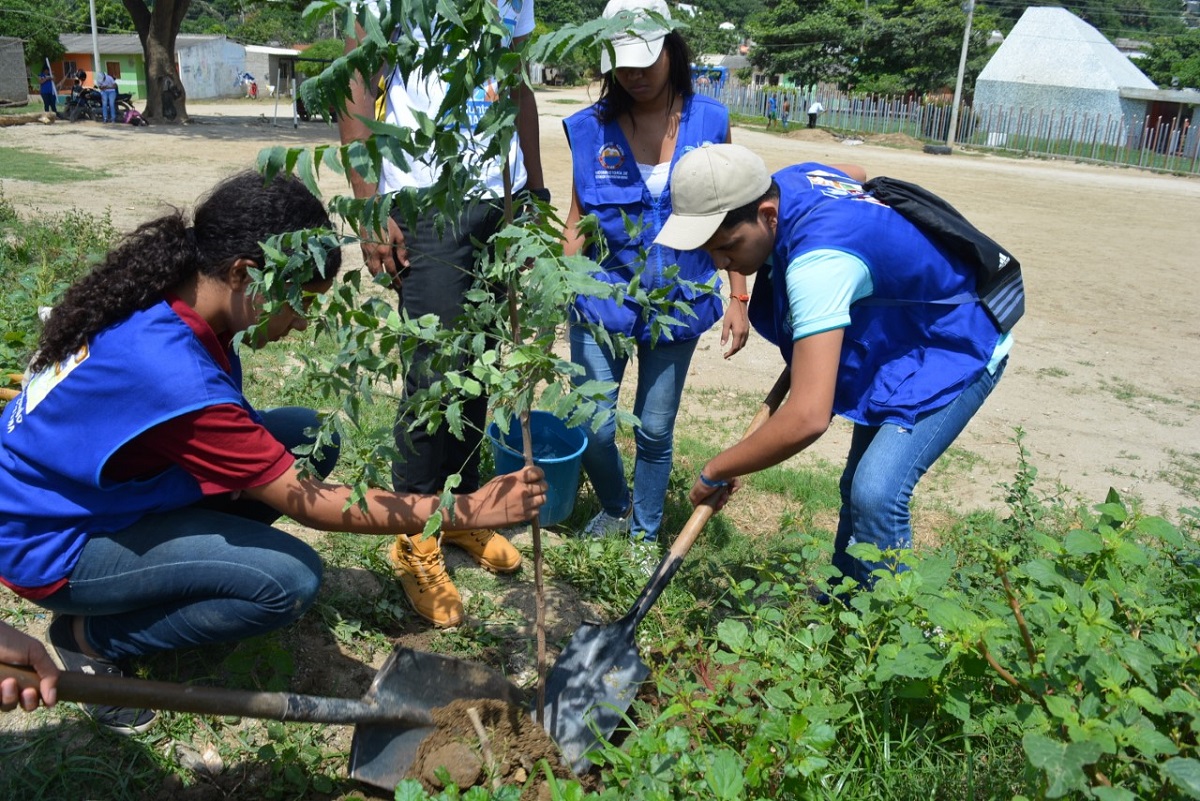 Programa Voluntariado Universitario UNIMAGDALENA abre inscripciones para periodo 2019 – II