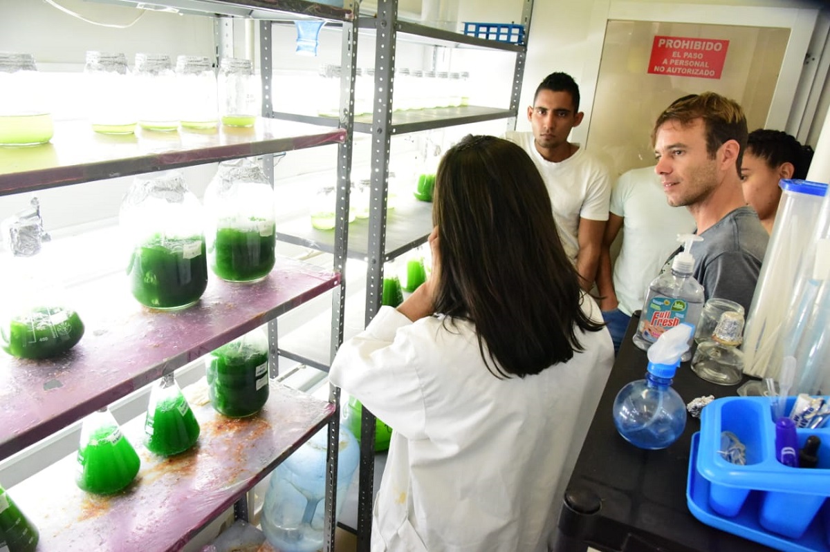 UNIMAGDALENA realizó Curso de ‘Cultivo de especies marinas ornamentales’