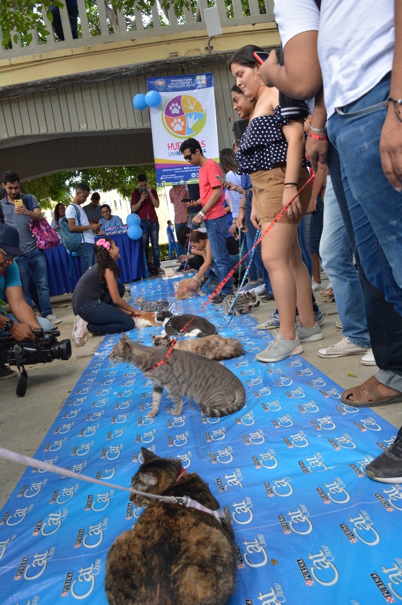 UNIMAGDALENA fue escenario para el Segundo Desfile Canino y Primera Feria Felina