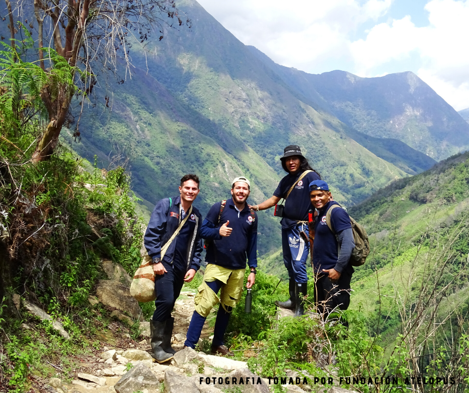 Docente y egresados de UNIMAGDALENA redescubren la ‘Rana Arlequín de la Noche Estrellada’ en la Sierra Nevada de Santa Marta