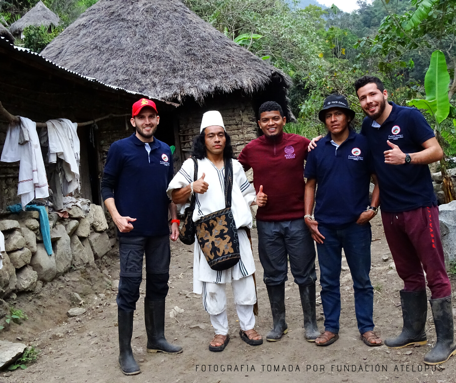 Docente y egresados de UNIMAGDALENA redescubren la ‘Rana Arlequín de la Noche Estrellada’ en la Sierra Nevada de Santa Marta