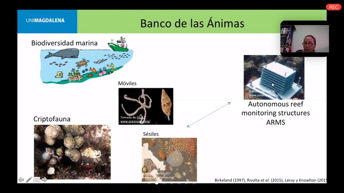 Ahora la Ciencia, el Arte y la Cultura tienen sus encuentros de forma virtual