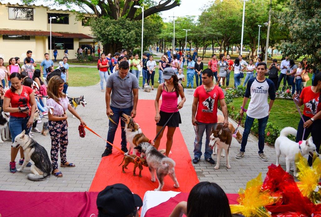 Primer Desfile Canino en Unimagdalena