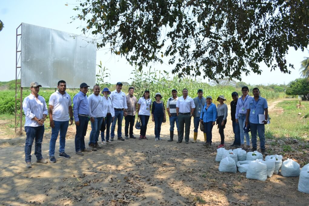 Pares académicos del CNA destacaron relacionamiento con el sector productivo del Programa de Ingeniería Agronómica de UNIMAGDALENA