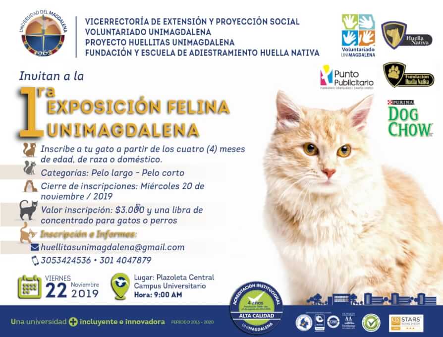 1ra Exposición Felina UNIMAGDALENA