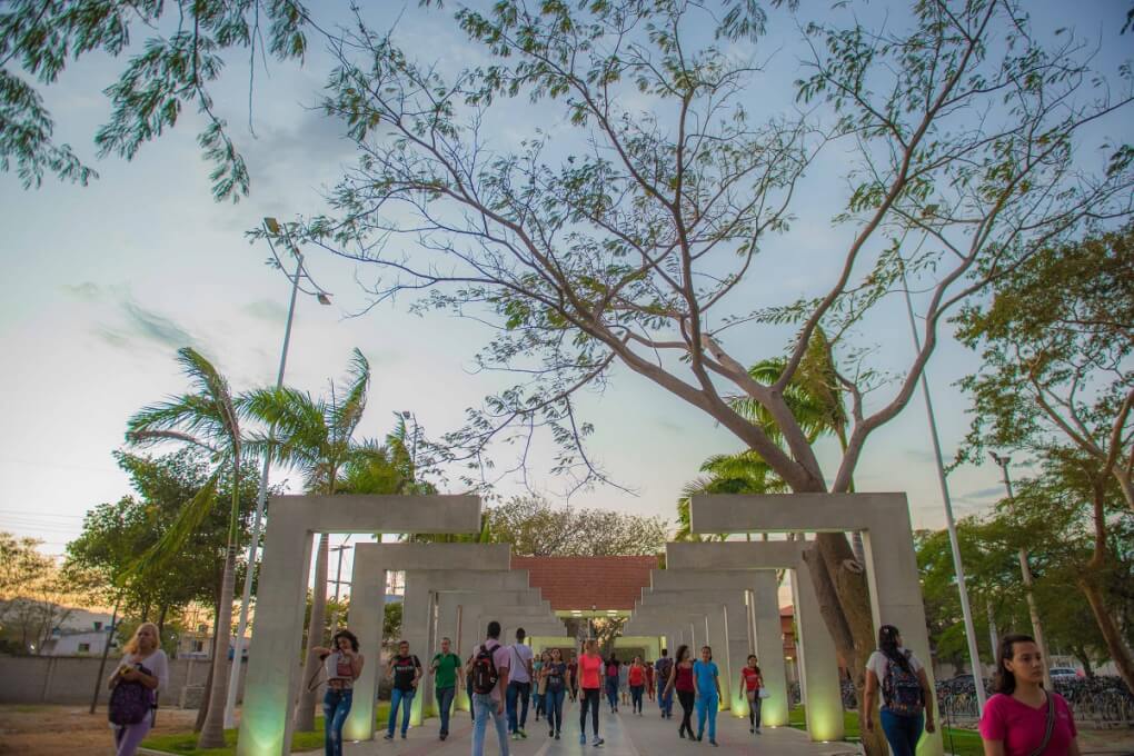 Representante de la Comunidad Académica ante el CESU respalda la reactivación progresiva de la presencialidad en la educación superior