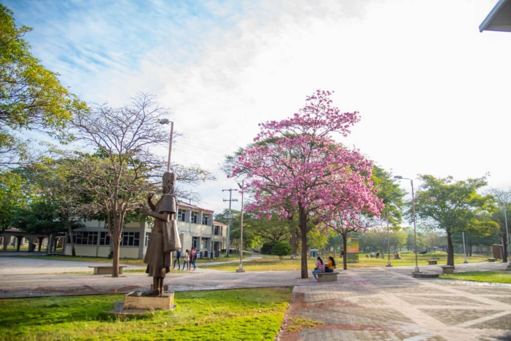 Programa de Contaduría Pública de UNIMAGDALENA, calificado como el mejor de la Región Caribe