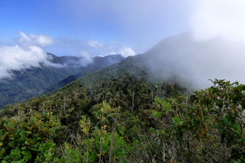 UNIMAGDALENA certificó a jóvenes de la Sierra Nevada en Seminario de Turismo