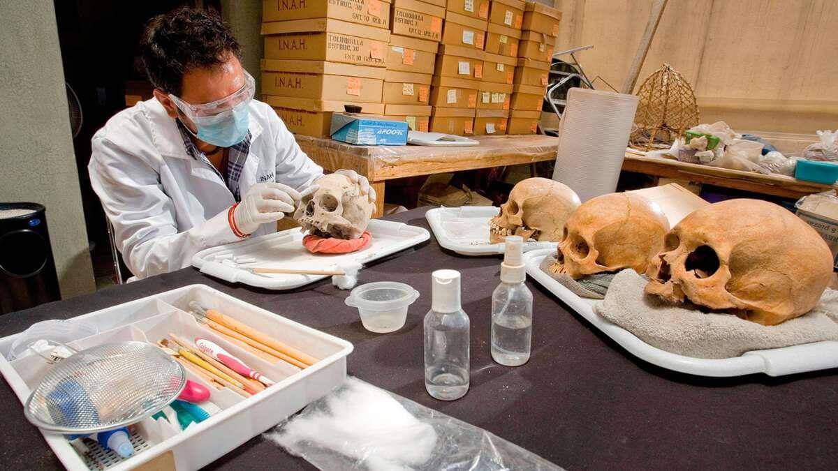 UNIMAGDALENA conmemoró los 20 años del Programa de Antropología