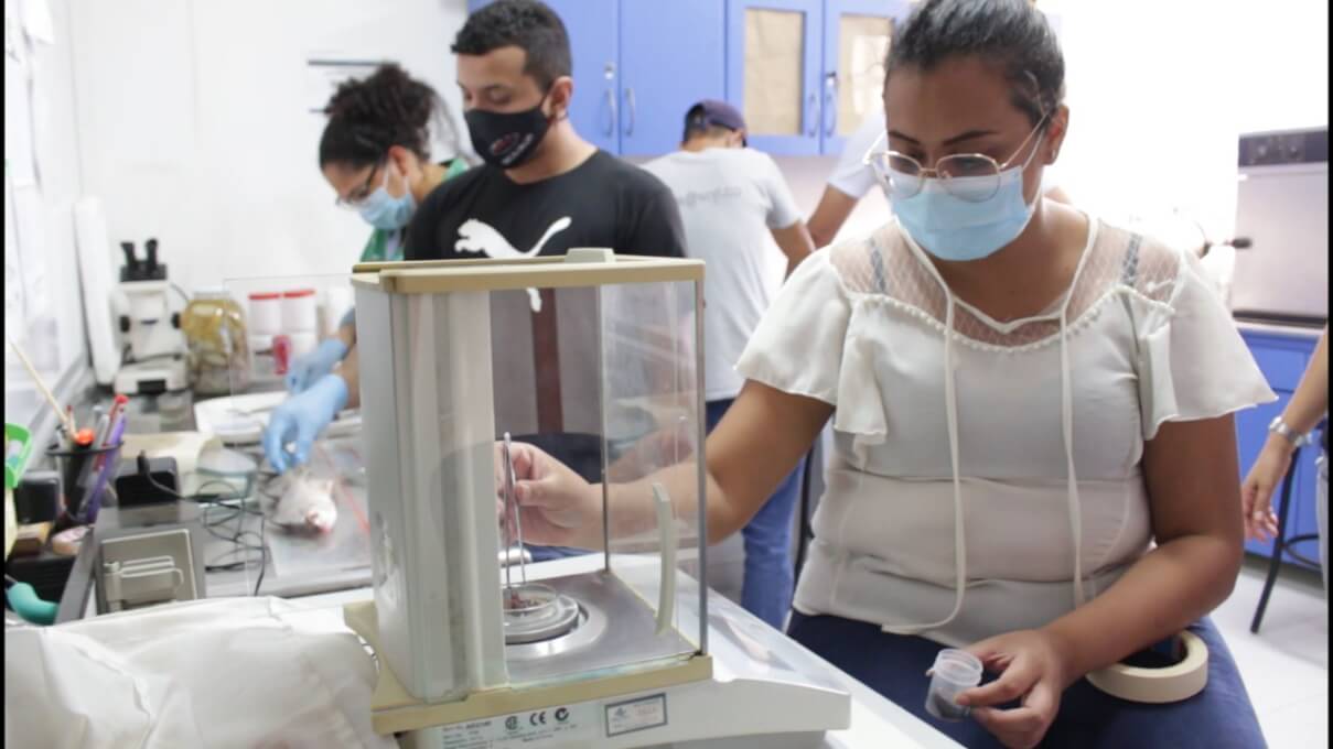 UNIMAGDALENA es socia de la Cátedra UNESCO para el Análisis Integrado de Sistemas Marinos