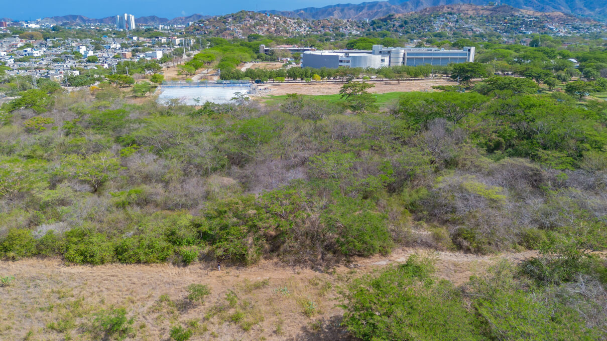 With educational locations, chicken tourism is inspired from UNIMAGDALENA Dry Forest