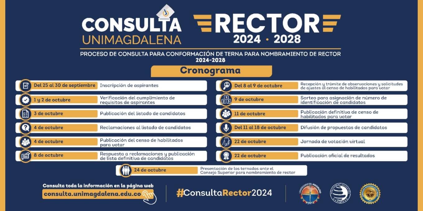 CRONOGRAMA.CONSULTA.RECTOR.1