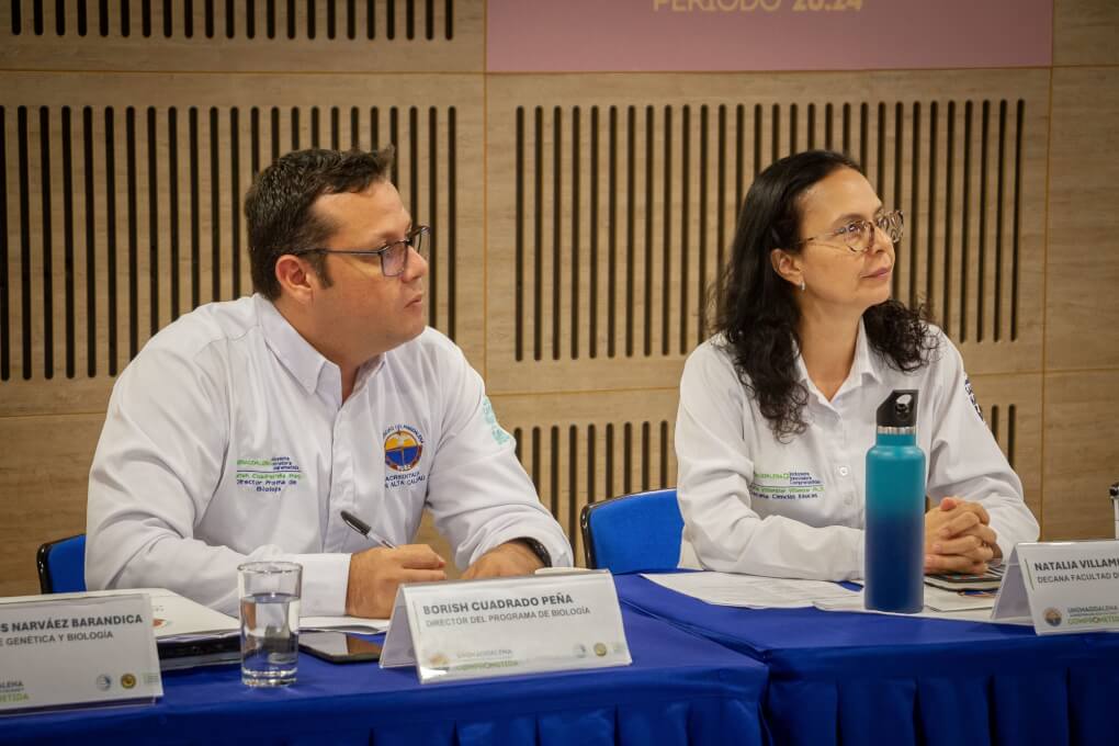 Hasta este viernes 24, la comunidad académica y externa del Programa adscrito a la Facultad de Ciencias Básicas expone sus avances en el plan de mejoramiento en sus ejes misionales.