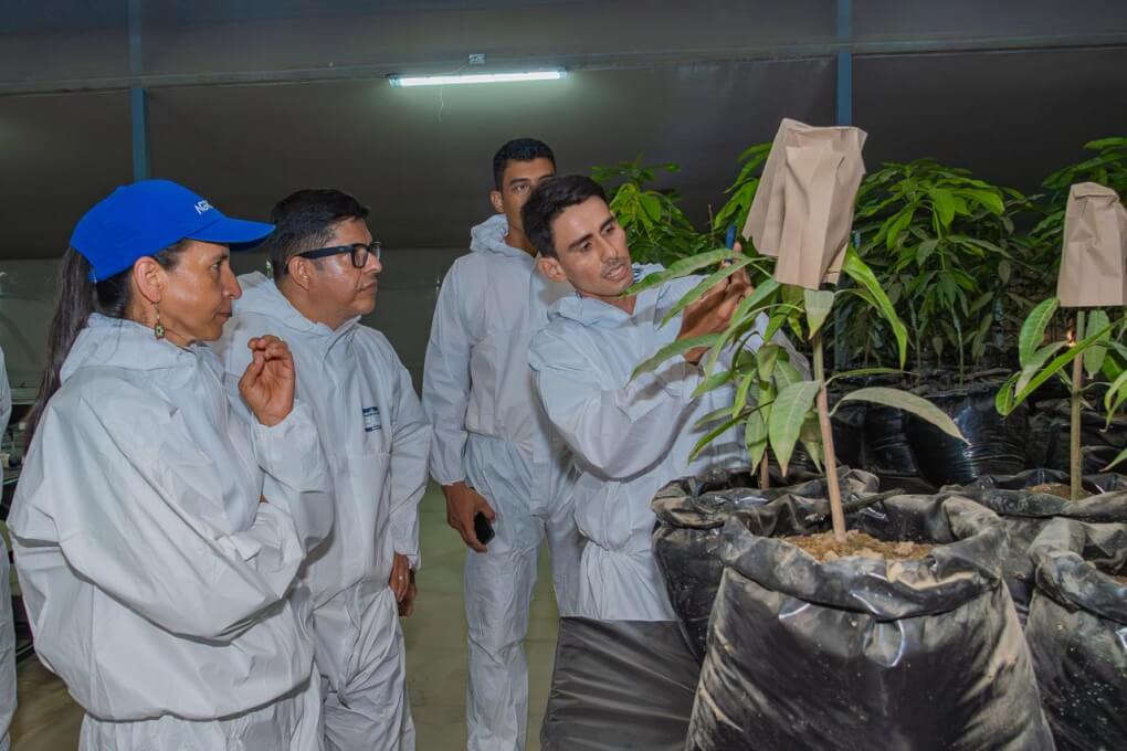 Programa de Ingeniería Agronómica renueva su Acreditación en Alta Calidad
