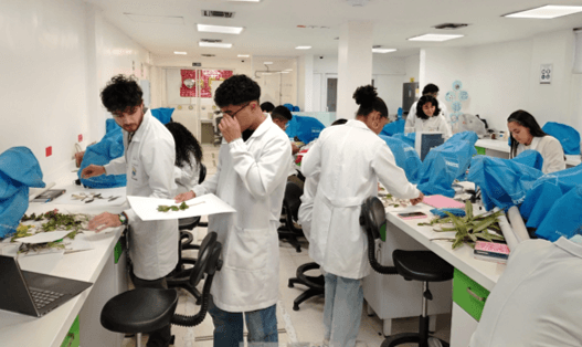 Laboratorio