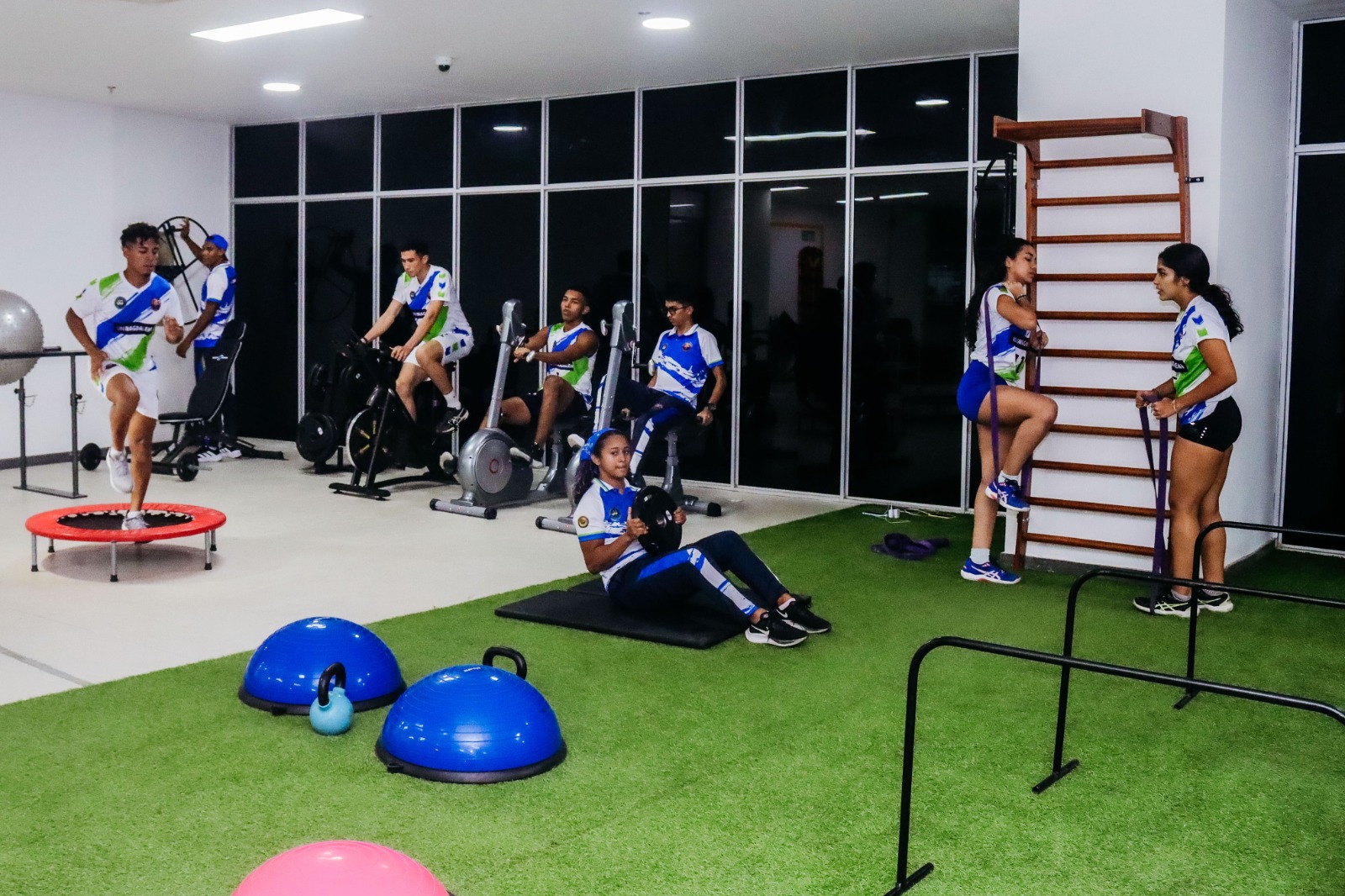 PROFESIONAL EN DEPORTE
